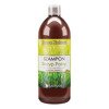 Barwa Shampoo with Common Horsetail For Falling Out Hair 250ml
