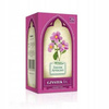 CISTUS INCANUS TEA 20 PCS enhances immune system HERBAPOL