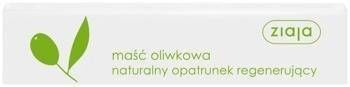 Ziaja Olive Ointment for Dry, Very Dry Skin 20ml
